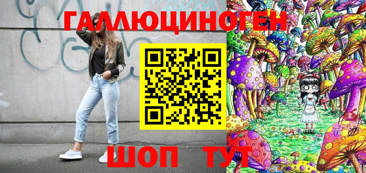 Нововоронеж  Псилоцибиновые грибы Cubensis  Вход с VPN 